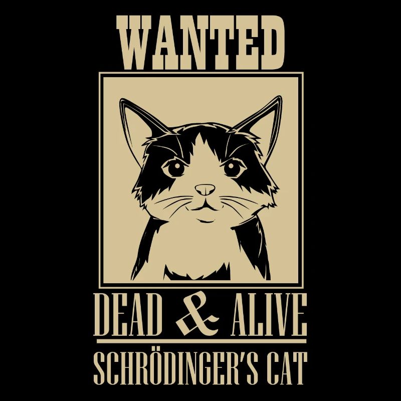 Schrödingers Katze Dead & Alive Student Physik