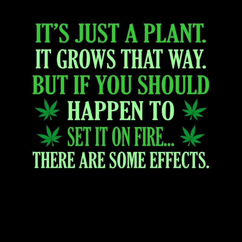 Cannabis
