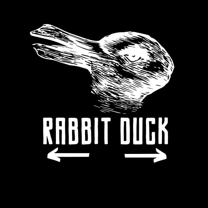 Rabbit duck