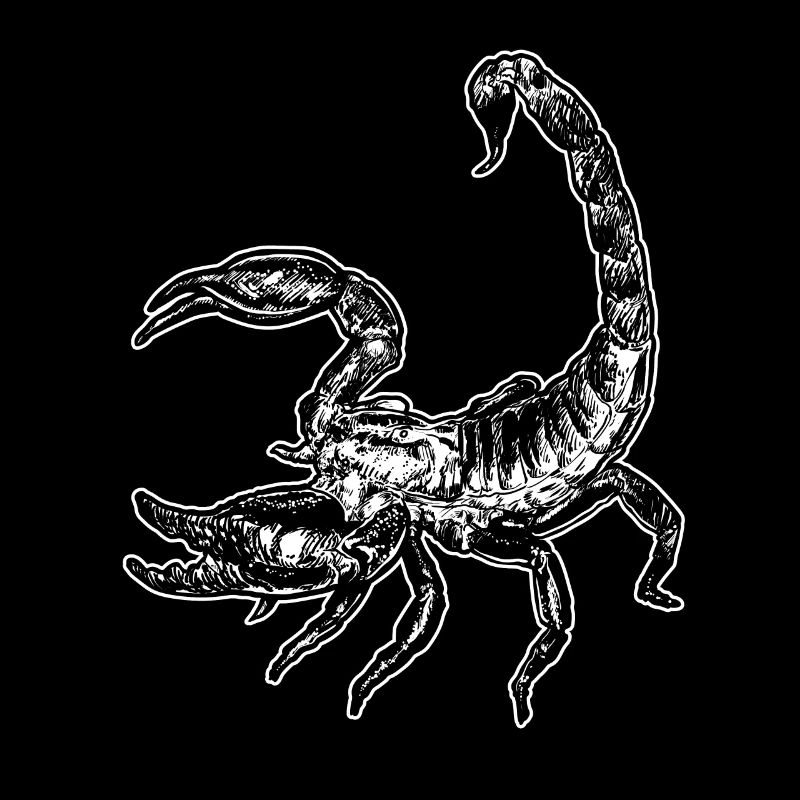 Sternzeichen Horoskop Skorpion Sternbild Astrology