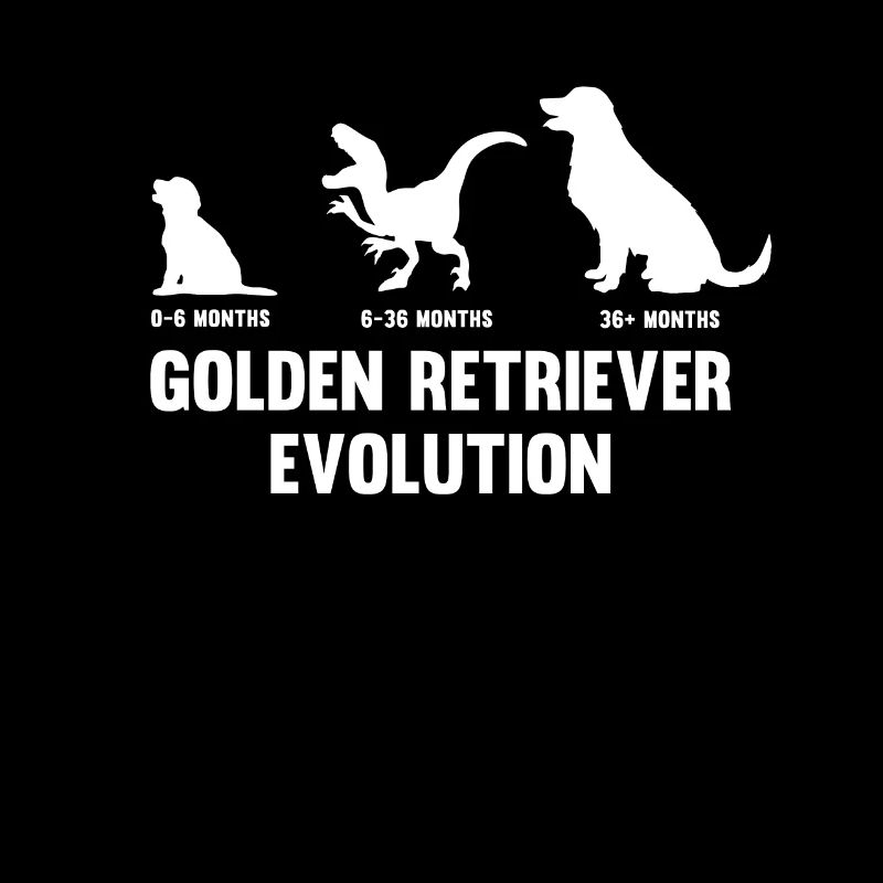 Golden Retriever Evolution pour un propriétaire de chien