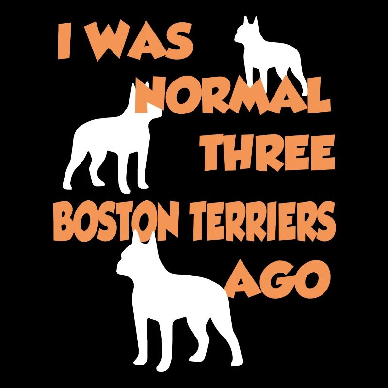 J’étais normal il y a trois Boston Terriers - Boston Te