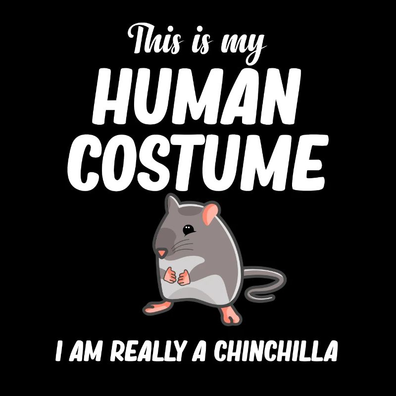 This is my human costume. I am