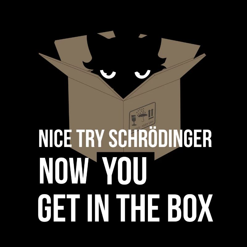 Le chat de Schrödinger - Physique de la mécanique quantique