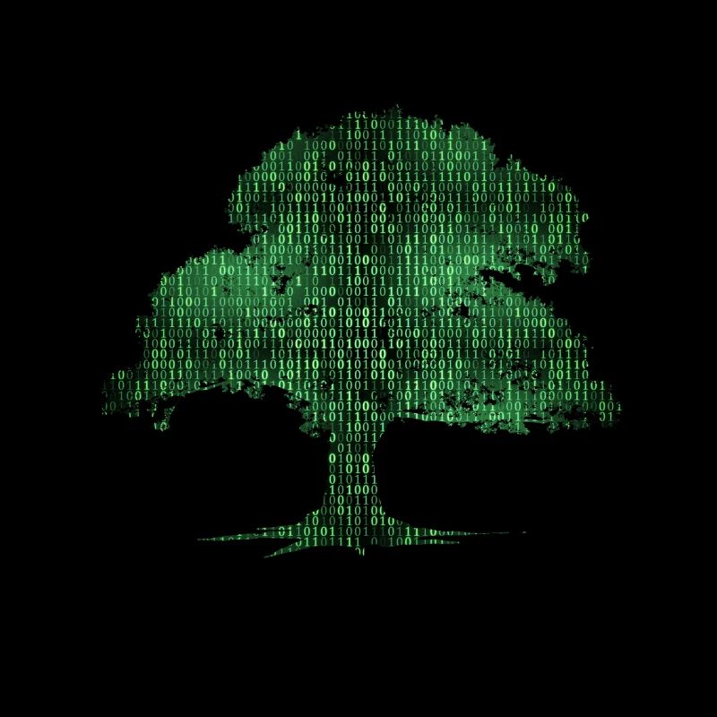 Programmeur de codage d'ordinateur d'arbre binaire