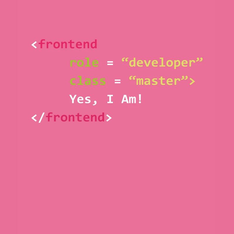 Frontend Developer Funny Gift Coder Programmer