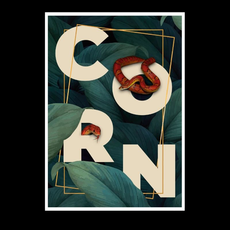 Corn Snake Reptile Keeper Snake
