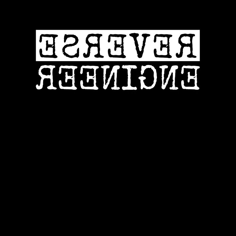 Reverse Engineer Softwareingenieur Developer