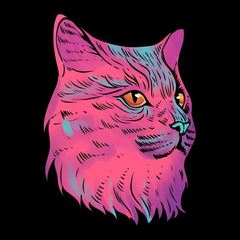 Farbenfrohe Katze Katzenfotograf