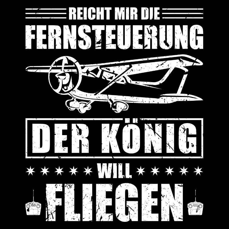 Modellflugzeug Fernsteuerung RC Pilot