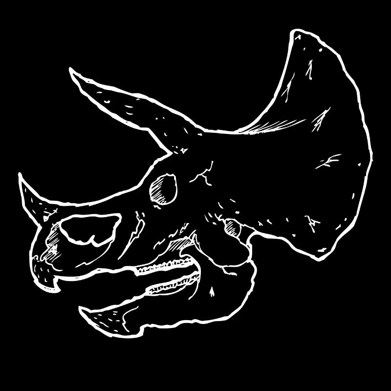 Dinosaur Skeleton - Triceratops Skull