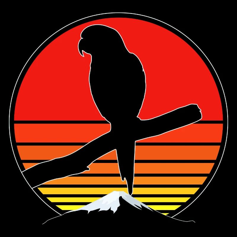 Molinasittich Parrot Bird Sun Parakeet