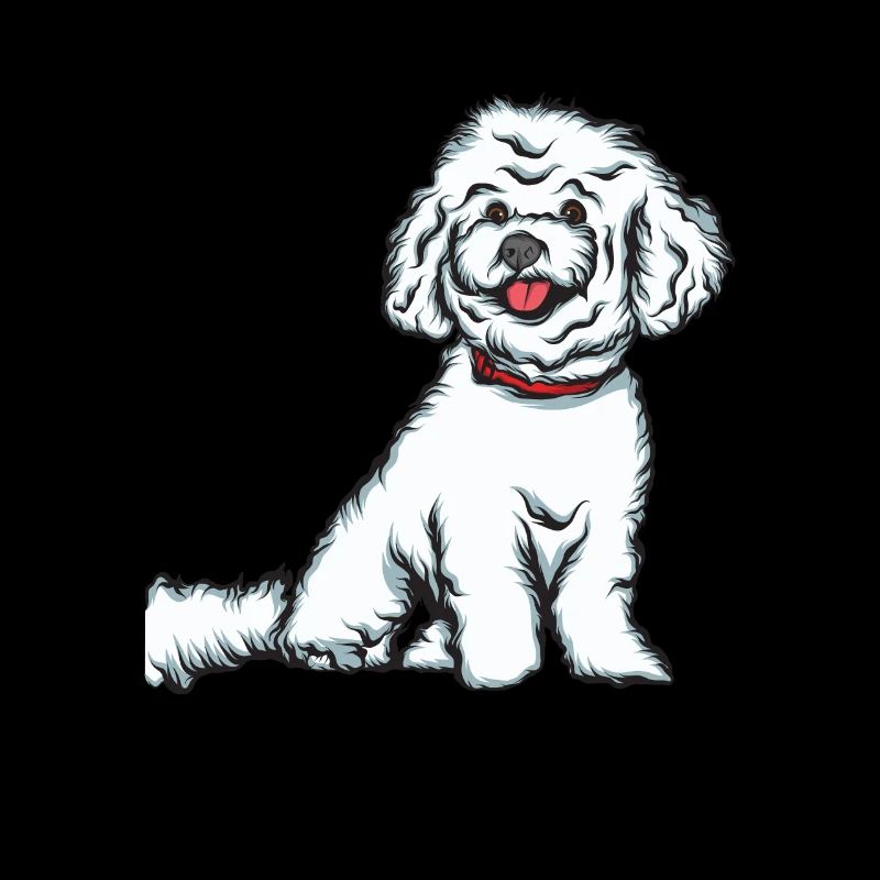 Bichon Frise