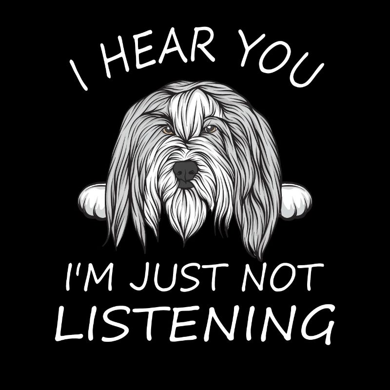 Bearded Collie