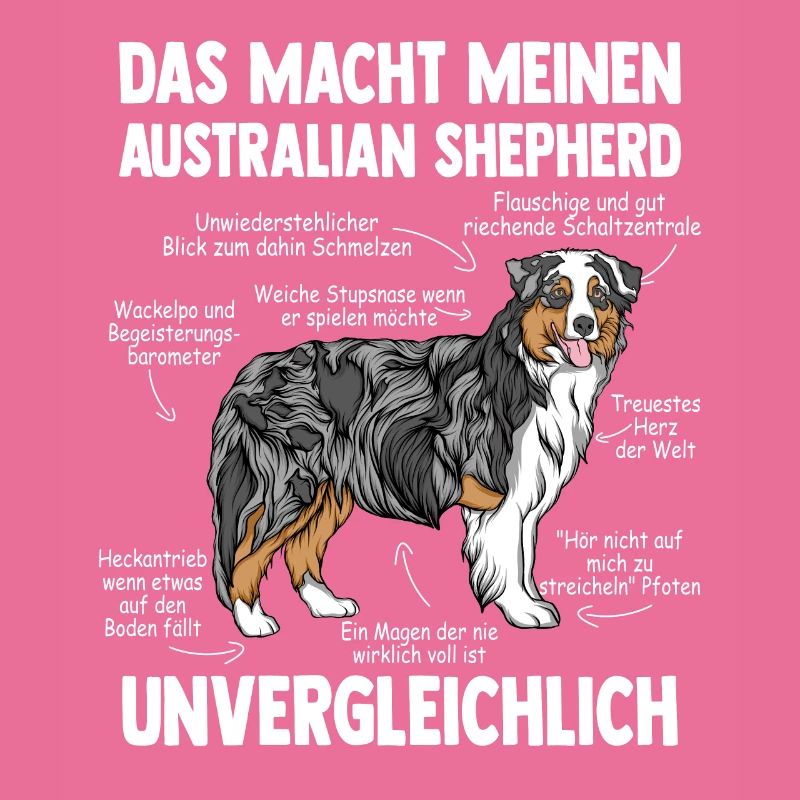 Australian Shepherd Aussie