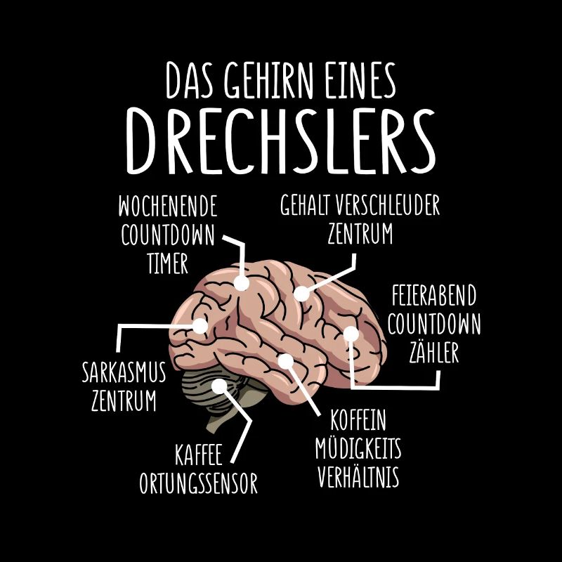 Drechsler Anatomie