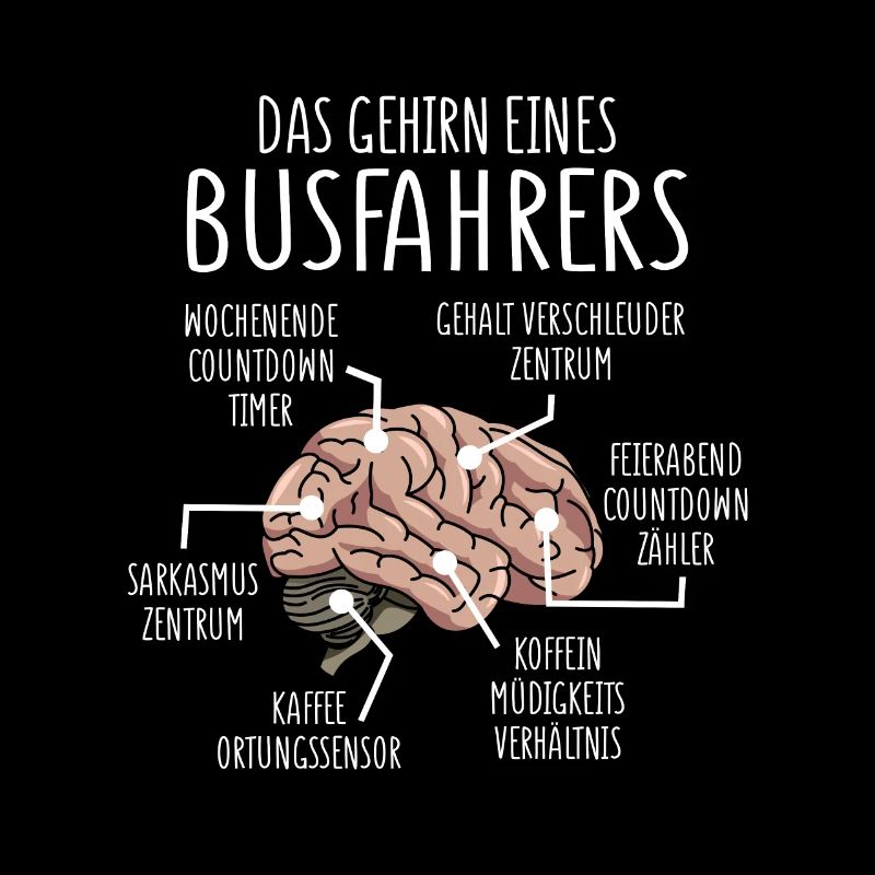 Busfahrer Anatomie Gehirn Reisebus