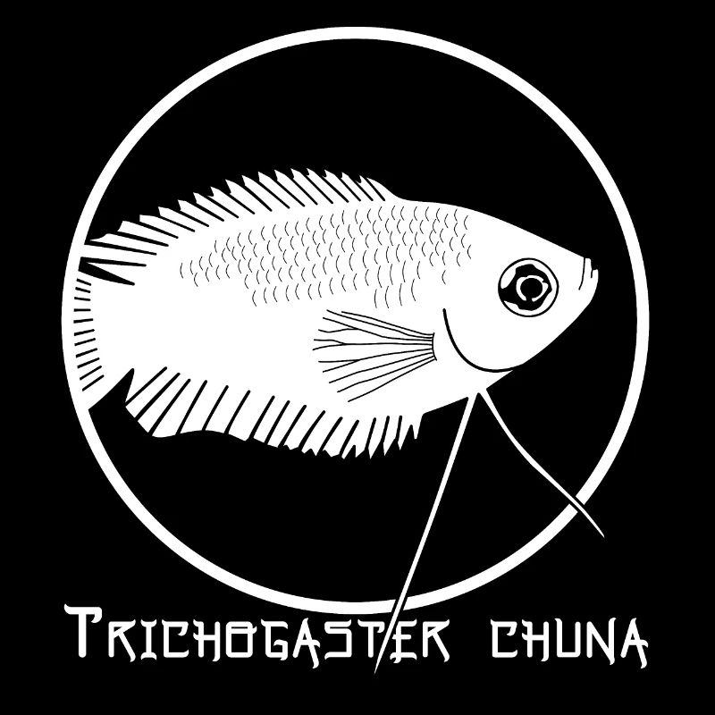 Trichogaster chuna