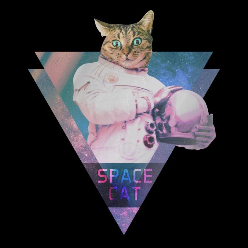 SPACE CAT