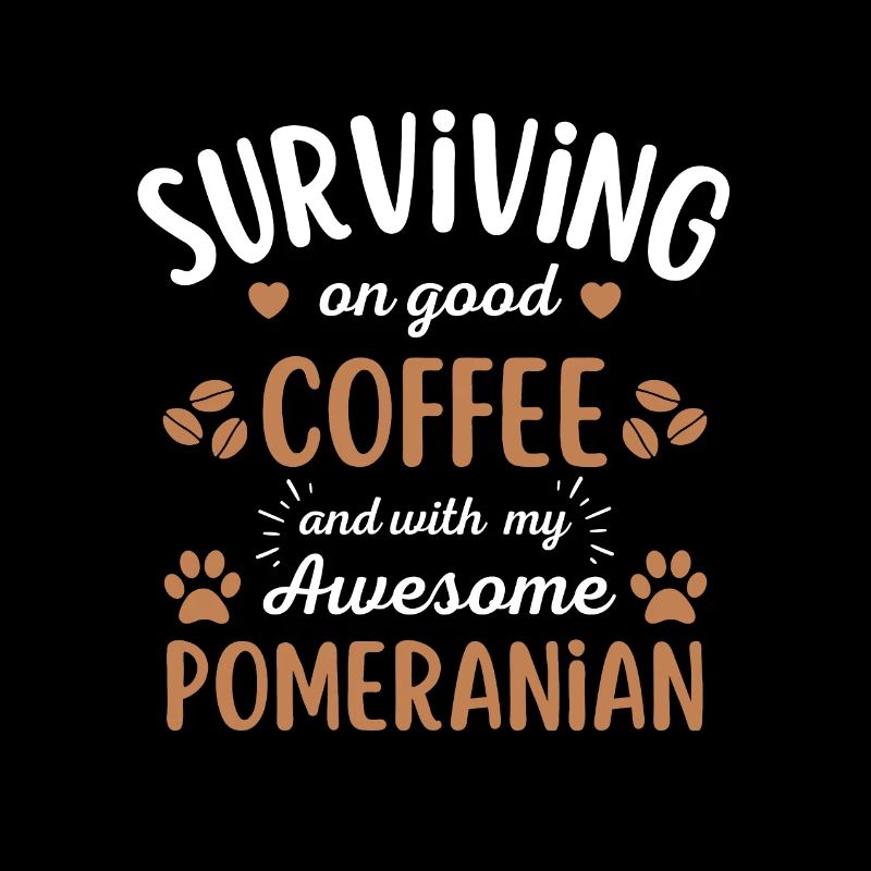 Zwergspitz Café Pour chiens