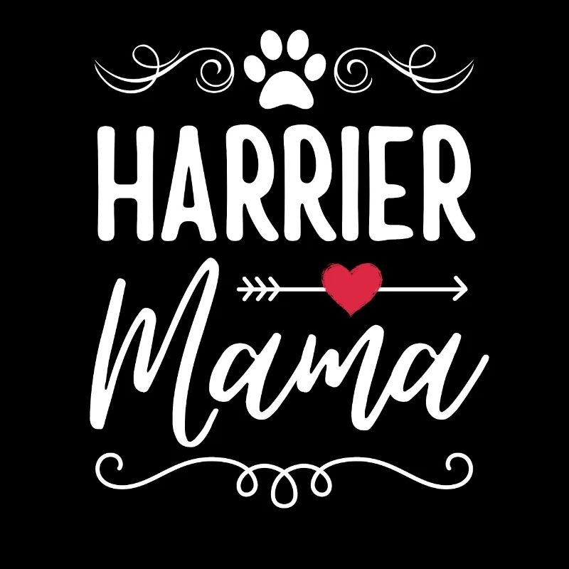 Harrier Mama Harrier Liebhaber