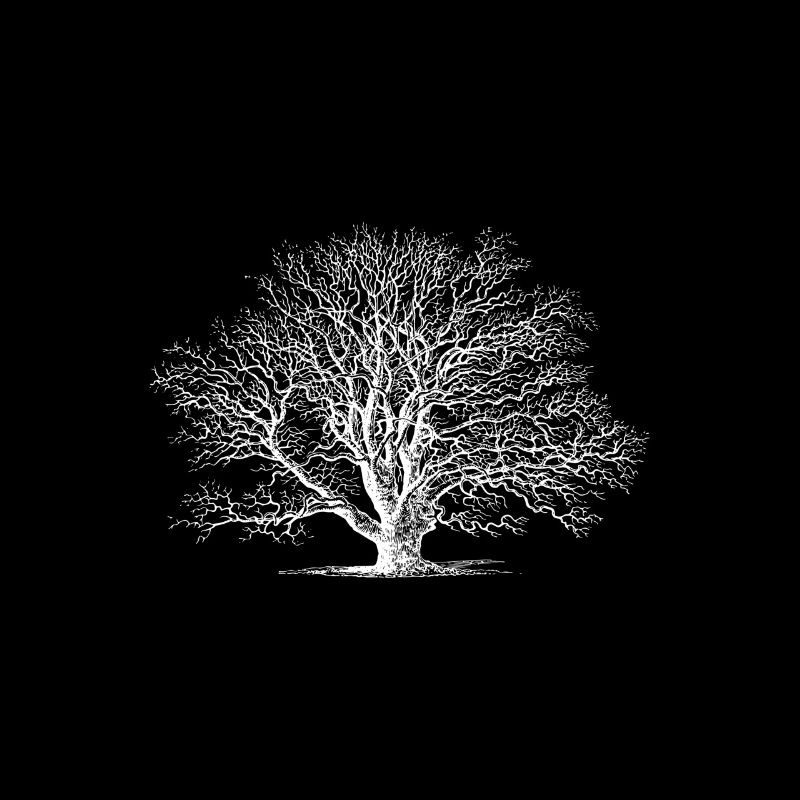 Arbre arbre