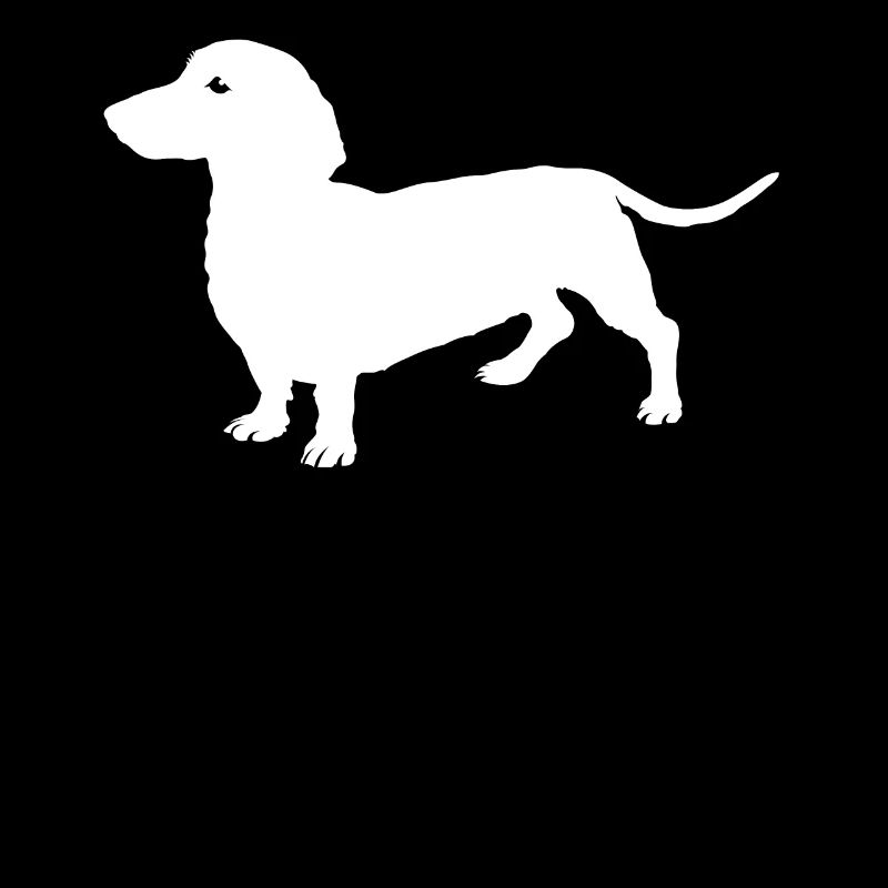 dachshund