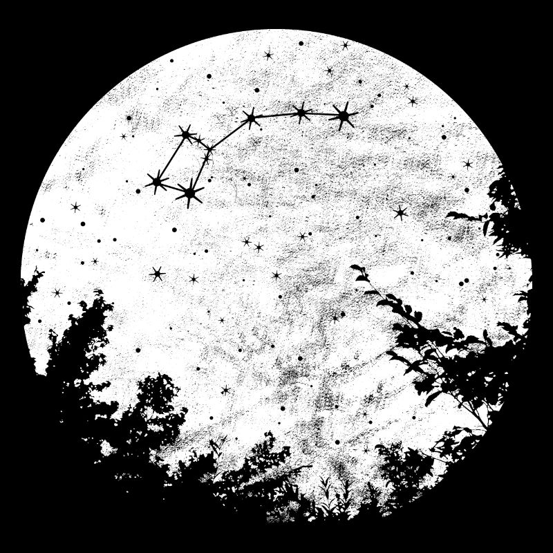 Petit, ours, constellation, signe