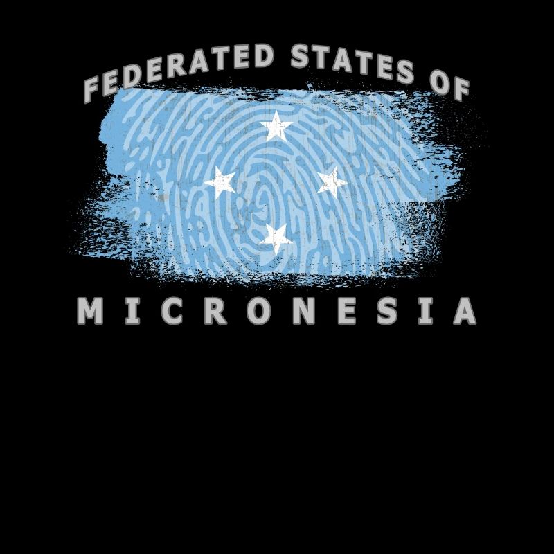 Federated States of Micronesia, Micronesia flag