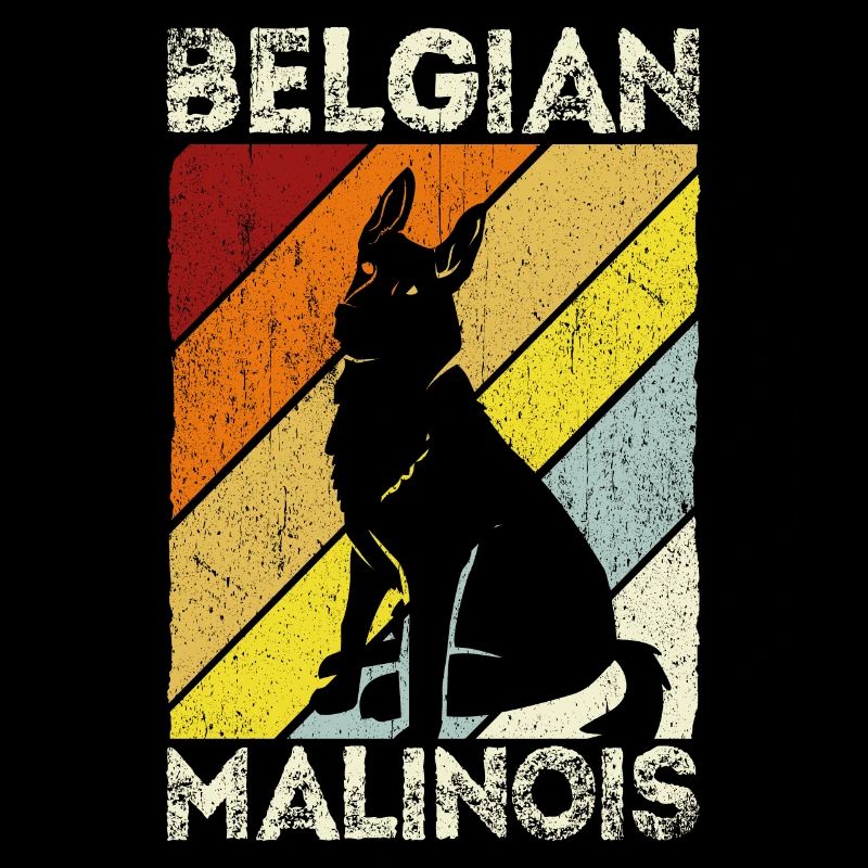 Belgian Malinois Hunde