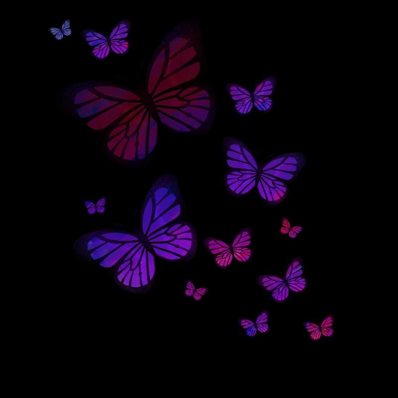 Papillon papillon des animaux coloré couleur