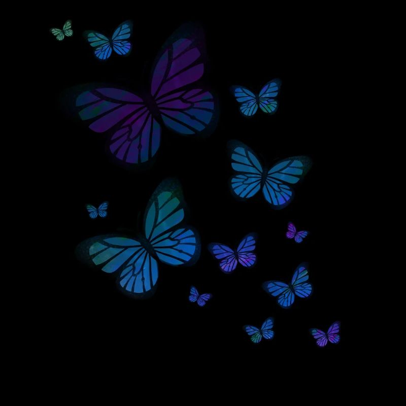 papillon papillon animal coloré couleur