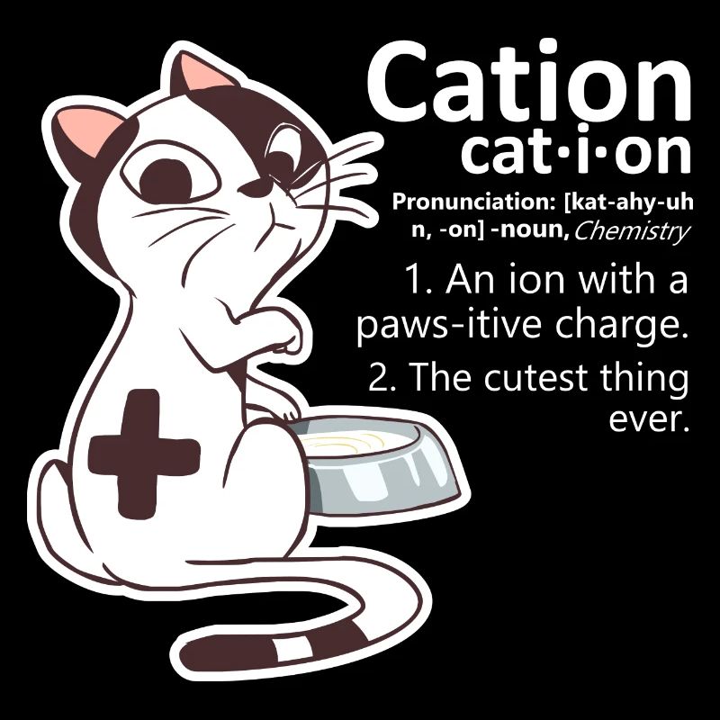 Science Pun Humor Gift for a