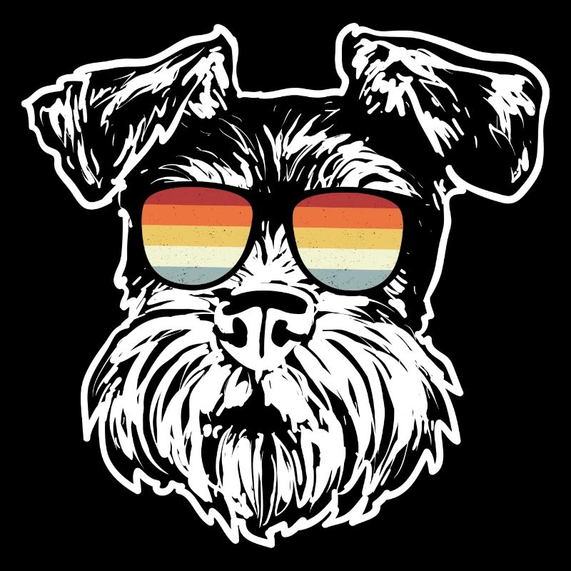 Zwergschnauzer Hund Schnauzer