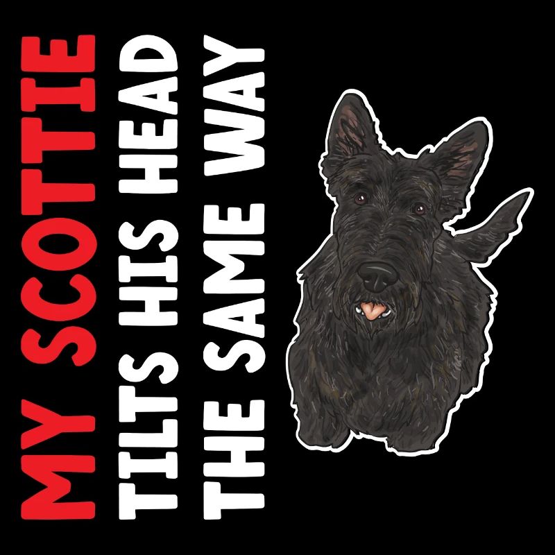 Scottish Terrier Scottie Hund