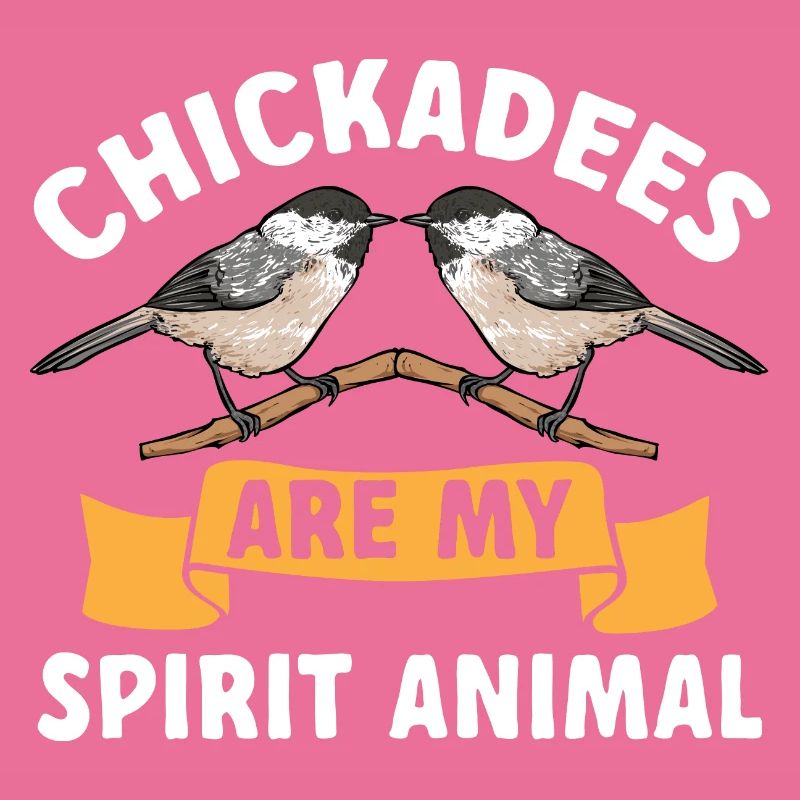 Meise Vogel Chickadee Vogelbeobachtung