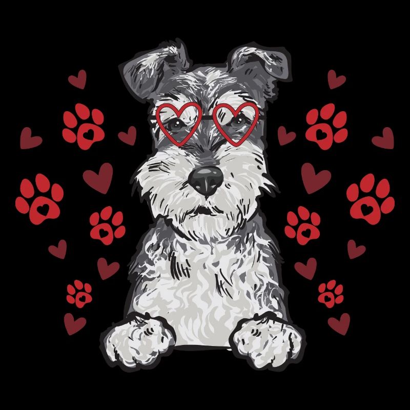 Zwergschnauzer Hund Schnauzer