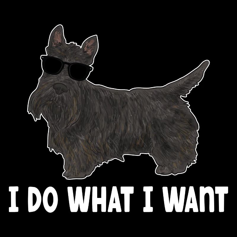 Scottish Terrier Scottie Hund