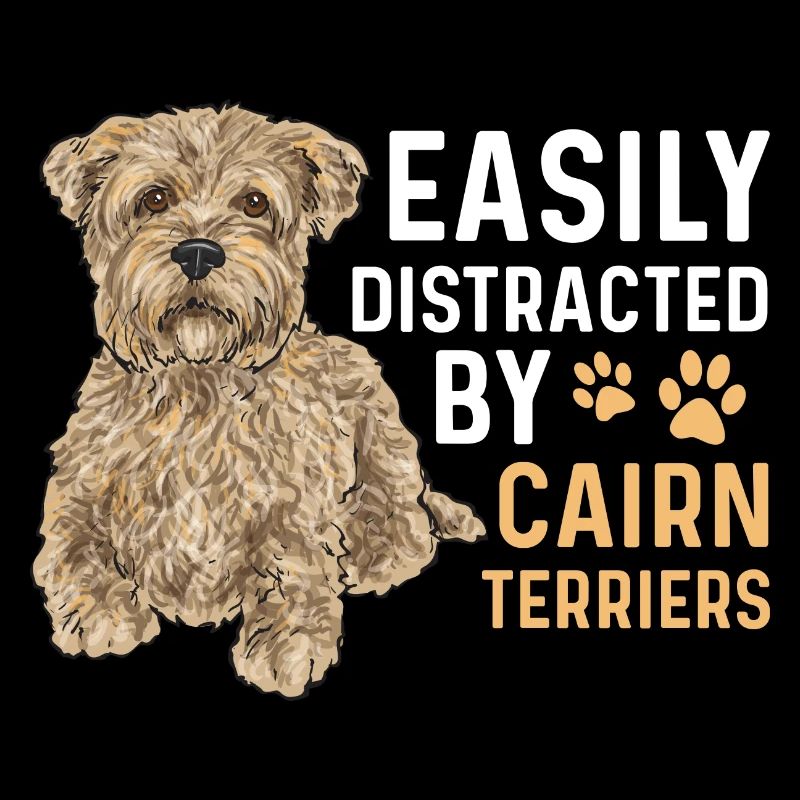 Cairn Terrier Hund