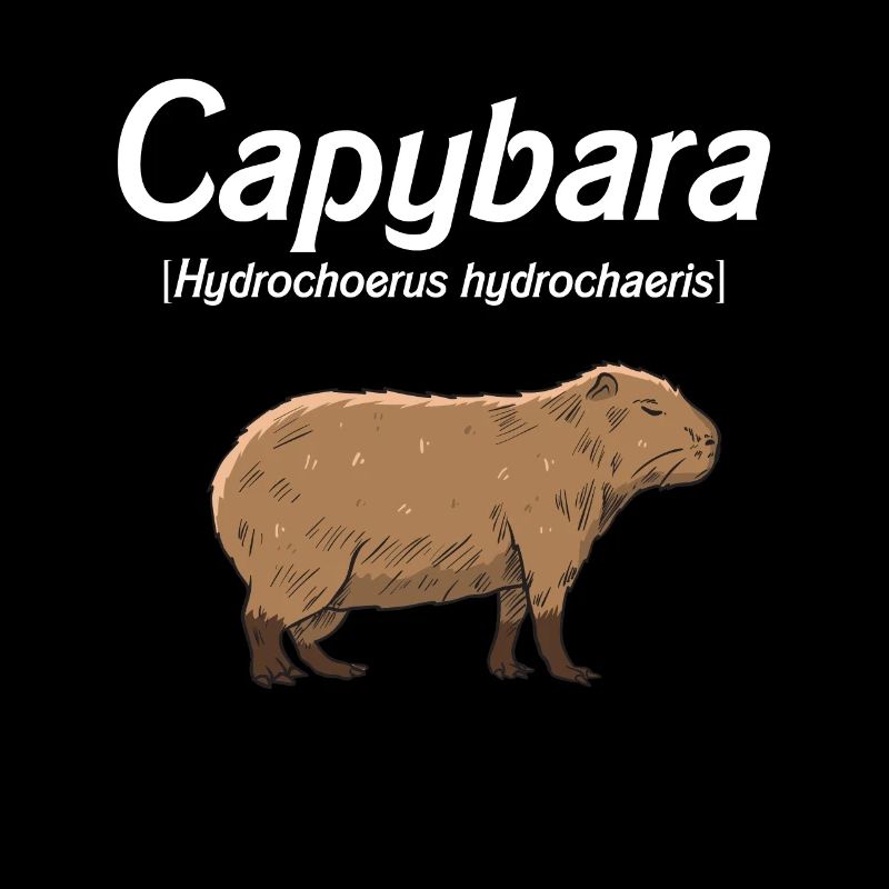 Capybara Idée cadeau Mignon Capybara Capybara