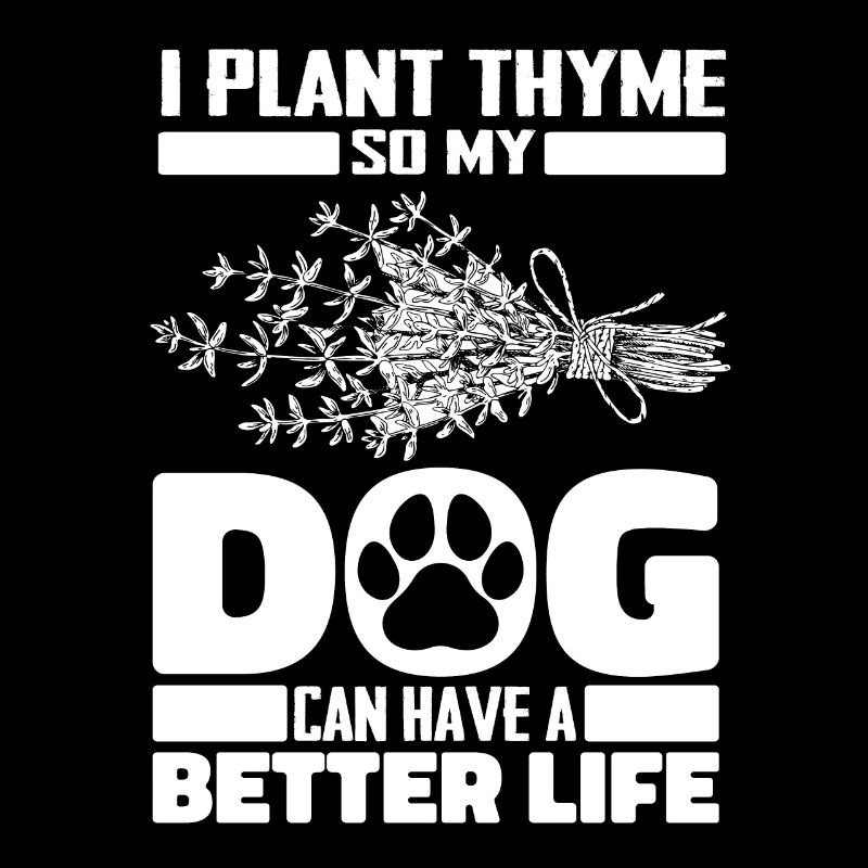 Thyme Herbe Chien