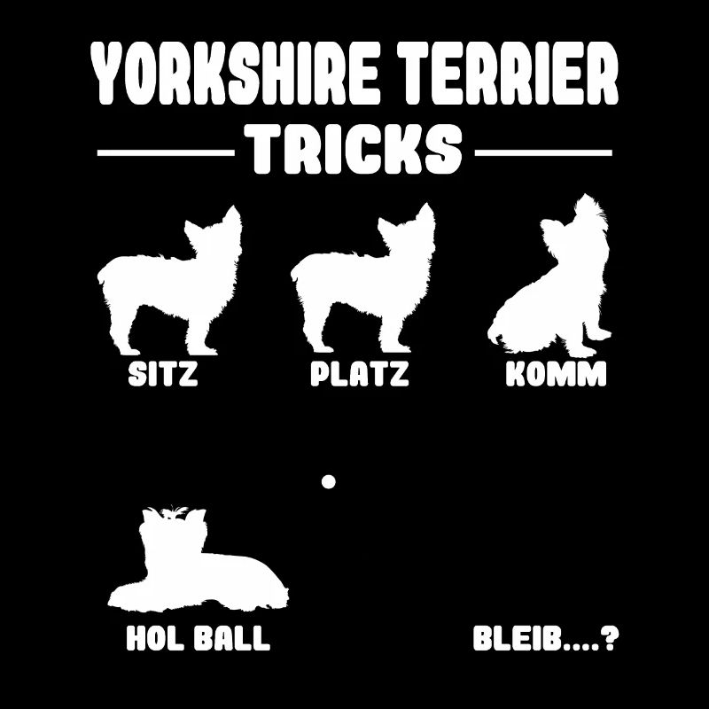 Drôle de propriétaire de chien Yorkshire Terrier Tricks