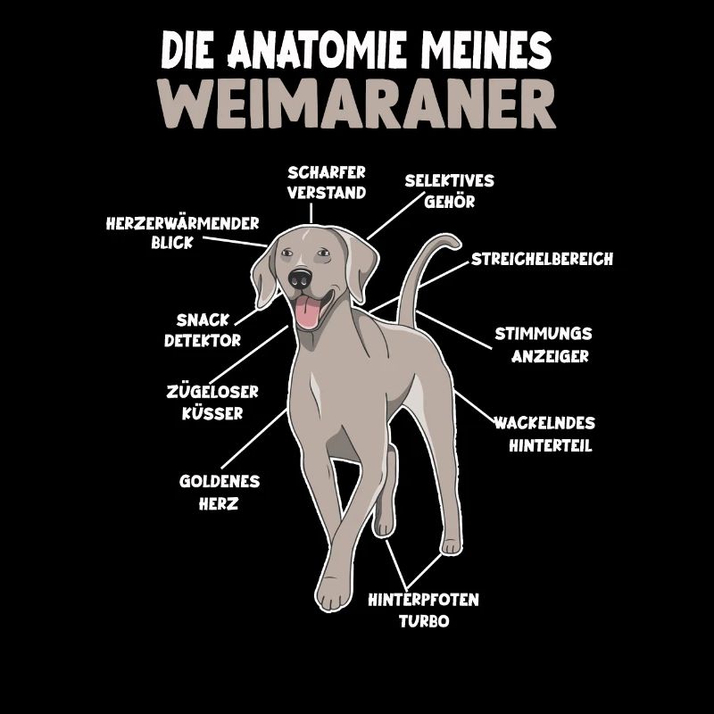 Weimaraner Anatomie Witziges Hundehalter Gassi
