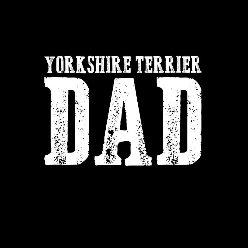 Yorkshire Terrier Papa