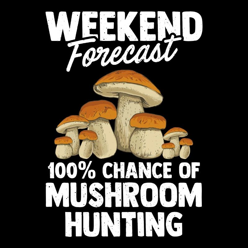 Chasse aux champignons