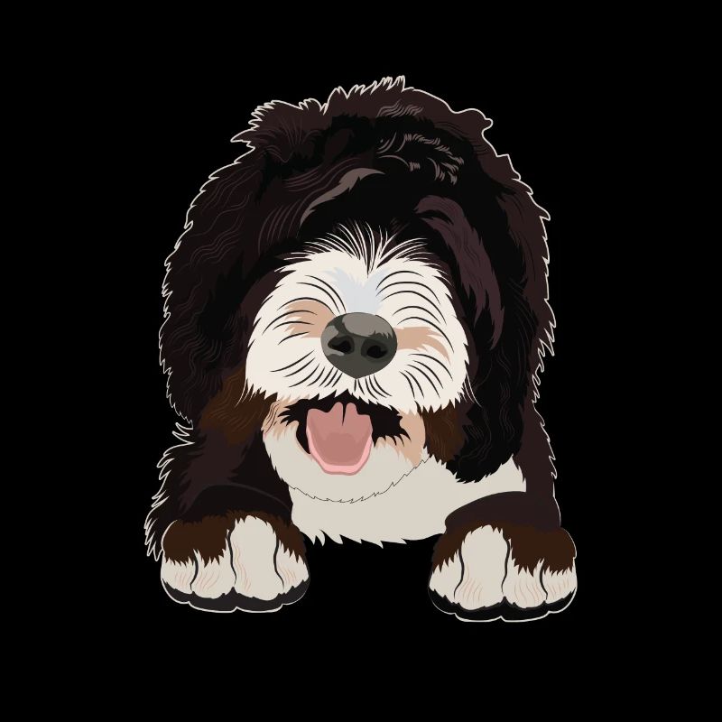 Cadeau de chien Sheepadoodle