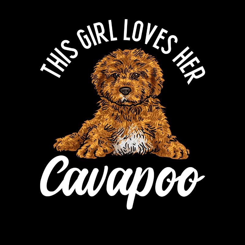 Cavapoo Cavoodle Capoodle Dog