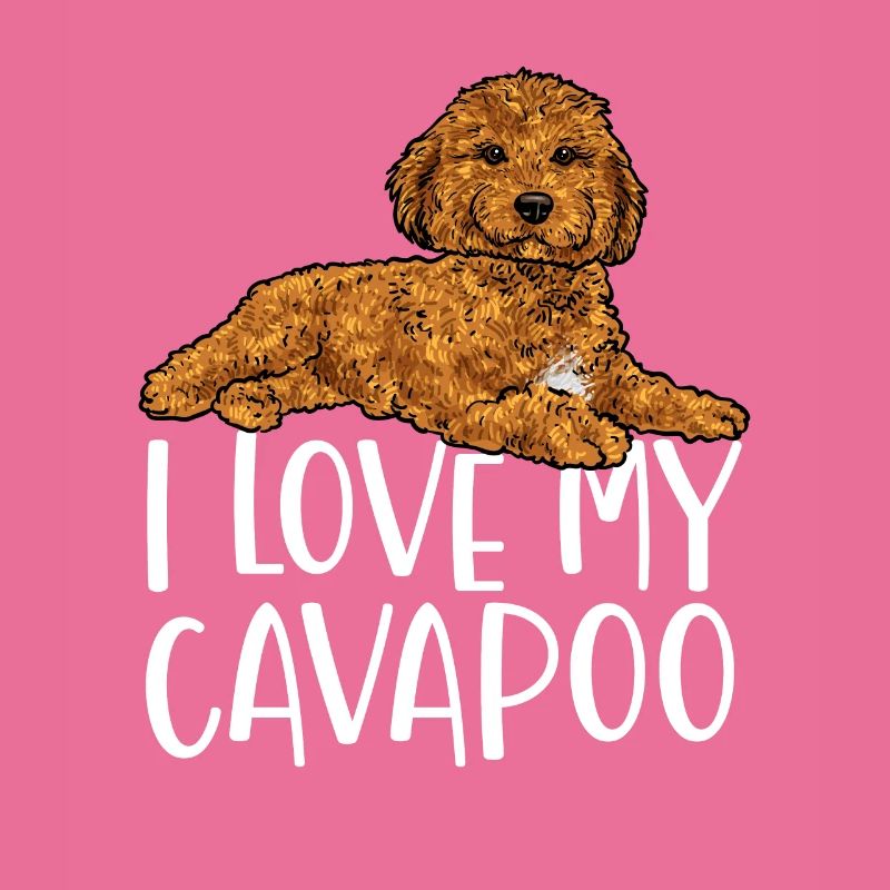 Cavapoo Cavoodle Capoodle Hund
