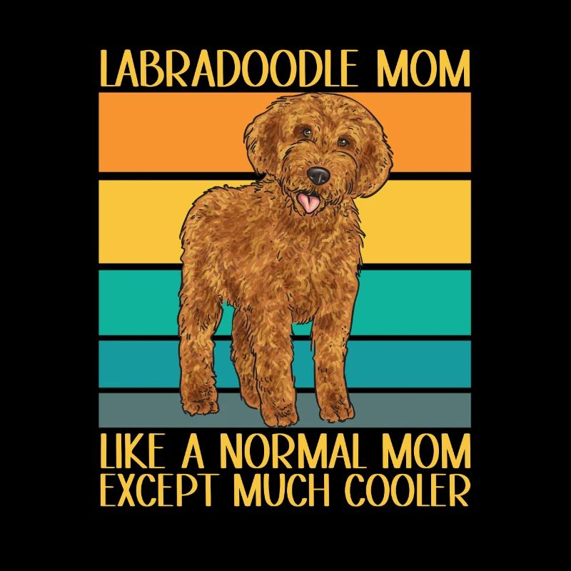 Labradoodle Hund