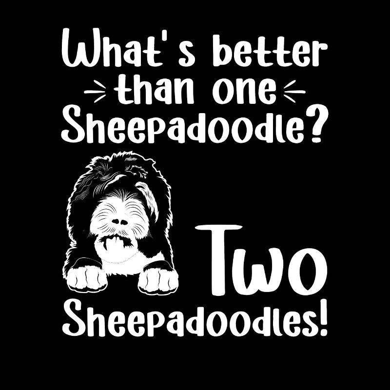 Sheepadoodle Doodle Dog